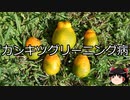【ゆっくり朗読】ゆっくりさんと不思議な病気 その558