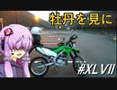牡丹を見に
