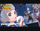 YO!YO!ジム全制覇!!四天王に牽制だ!!YO!YO!【ポケットモンスター スカーレット】#23