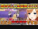 んなたんの体力となぜ転んでしまったかを話すちょこ先生【癒月ちょこ/大空スバル/姫森ルーナ/ホロライブ切り抜き】