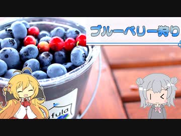 【VOICEROID車載？】番外編 Jimnyで雑多なツーリング「ブルーベリー狩り＆ジャム造り」