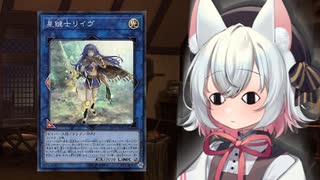 【マスター/リンクス】小夜がクローラーサポートを紹介しながらクローラーで遊ぶ：６【クローラー編おしまい】 #sayo_tag