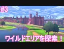【ソードの世界へ！】ポケットモンスター ソード 実況プレイ part3