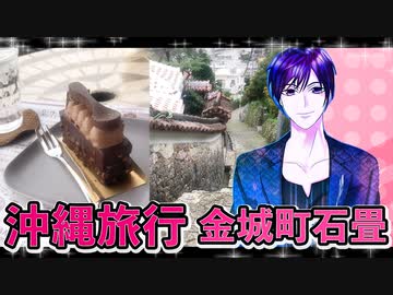 ジジの沖縄旅行,那覇首里金城町石畳道,チョコレートケーキブライアン