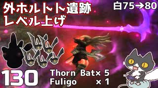 轟くFF11＿復帰プレイ130　外ホルトトでレベル上げ白Lv75→80