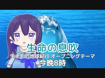 ソフトウェアシンガーカバー 予告動画 2023/2/16