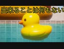 ただただプールに浮かぶアヒルを眺めるだけのシミュレーターゲーム！？〈Placid Plastic Duck Simulator〉