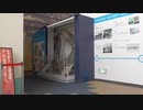 水族館　サメの歯