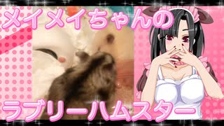 メイメイのハムスターの日常。17