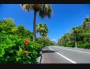 【1時間耐久】島そだち/island made  山弦