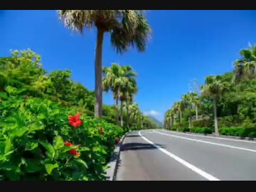 【1時間耐久】島そだち/island made  山弦