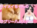 メイメイのハムスターの日常。18