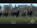 【実況】Winning Post9 2022 ～トワノ一門競走記～ part27