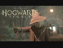 錬金釜でぐーるぐーる♪【Hogwarts Legacy】【ホグワーツ・レガシー】【実況】＃13