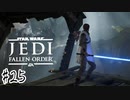 傘でジェダイごっこをしていた関西人の【Star Wars ジェダイ:フォールン・オーダー】#２５