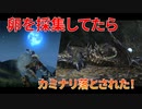 【実況】ぼっちハンターが行く！モンスターハンターXX 第27回