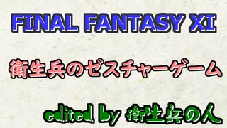 FF11 衛生兵のゼスチャーゲーム