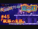 超魔界村プロの【帰ってきた魔界村】実況#45『親豚の末路』