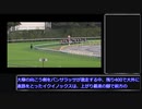 ウマ娘モチーフ馬の血をひく現役競走馬紹介(2022年秋競馬中央GⅠJGⅠ海外GⅠ編)