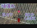 【海月の】地球制圧軍6-42地点目【地球防衛軍6実況】