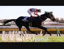 思い出の名馬たち『総集編(秋)』part３