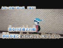 【 ニコカラ 】 あるいは地下鉄の私 【 on vocal 】