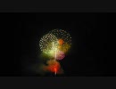 【2008長岡花火】31番　『夜空の花畑』