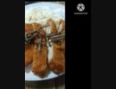 トンカツにいそ松葉いけるヨ！夫婦ゲンカたまにはトンカツ違ったおとん勝つ