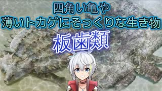 [板歯類]　四角い亀や薄いトカゲにそっくりな生き物　[VOICEROID解説]