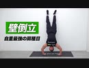 【筋トレ】壁倒立のやり方 | ボディビルチャンピオンが教える自重で肩を鍛える種目【ビーレジェンド プロテイン】
