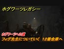 ホグワーツレガシー　フィグ先生についていく　１２番金庫へ　ホグワーツへの道　ストーリー攻略　＃２　【Hogwarts Legacy】