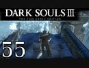 【DARK SOULS3 THE FIRE FADES EDITION】1、2をプレイしてからのダークソウル3 part55【初見実況】