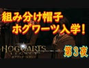 【ホグワーツへようこそ】ホグワーツ・レガシー こつこつ実況 第3夜