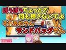 トイボクシングで最後には姫の言うことを聞いてしまうポルポル【姫森ルーナ/尾丸ポルカ/ホロライブ切り抜き】