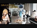 ロボットカフェへ行く【ルーテシアとボイロ車載番外】