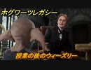 ホグワーツレガシー　授業の後のウィーズリー　ストーリー攻略　＃１０　【Hogwarts Legacy】