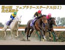 【競馬MAD】23'フェブラリーステークス　出走馬紹介