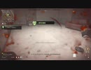 [CoD:MW2DMZ]斜に構える