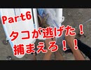 【釣り動画 Part6】タコが逃げた！捕まえろ！キスも釣れちゃいました！福井県敦賀