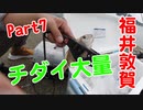 【釣り動画 Part7】チダイが大量大量！海釣りは最高です！福井県敦賀