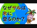 【ChatGPT】お互い忖度しながら大喜利合戦【Vtuber】