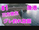 【#1 釣り動画】大量！福井県三方地方でグレが釣れ放題！ フカセ釣りの極み