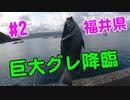【#2 釣り動画】巨大グレ降臨！福井県三方地方でグレが釣れ放題！ フカセ釣りの極み