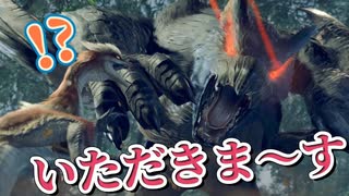 【一瞬】おなかペコペコのナルガクルガさん【モンスターハンターライズ】