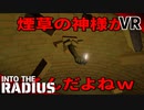 #31【IntoTheRadius】半径の中へ…【VRサバイバルホラーFPS】