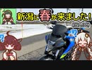 【きずきりつーりんぐ！】新潟に春が来ました！(当地比)【GSX-S125】
