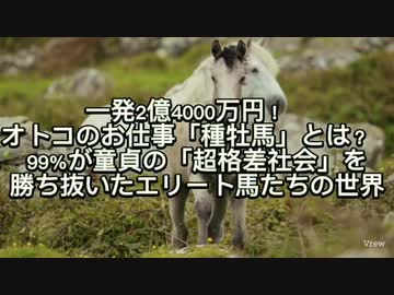 種馬