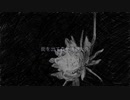 ハイドナイトサーカス / 初音ミク