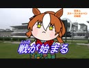 【たぬき】戦が始まる