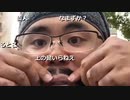 2023年02月18日 よっさんファミリーオーディション定点(Lv340330183) 藪。 藪の中(Co5352034) 001